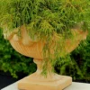 Casa Padrino Barock Blumentopf Beige Ø 46 x H. 33 cm - Runder Pflanzentopf im Barockstil - Barock Garten & Terrassen Deko
