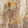 Casa Padrino Barock Ölgemälde Kronleuchter Mehrfarbig 80 x H. 80 cm - Prachtvolles Ölbild