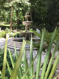 Casa Padrino Barock Springbrunnen mit Umrandung Grau Ø 350 x H. 280 cm - Gartenbrunnen - Gartendeko Brunnen - Prunkvolle Barock Garten Deko Accessoires