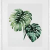 Casa Padrino Bilder / Kunstdruck Set Tropische Pflanzen Grün / Weiß 59 x H. 69 cm - Luxus Deko