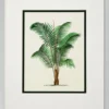Casa Padrino Bilder / Kunstdruck 4er Set Palmen Mehrfarbig 43 x H. 53 cm - Luxus Deko