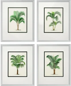 Casa Padrino Bilder / Kunstdruck 4er Set Palmen Mehrfarbig 43 x H. 53 cm - Luxus Deko
