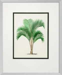 Casa Padrino Bilder / Kunstdruck 4er Set Palmen Mehrfarbig 43 x H. 53 cm - Luxus Deko