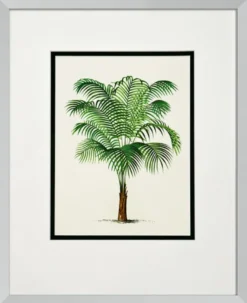 Casa Padrino Bilder / Kunstdruck 4er Set Palmen Mehrfarbig 43 x H. 53 cm - Luxus Deko