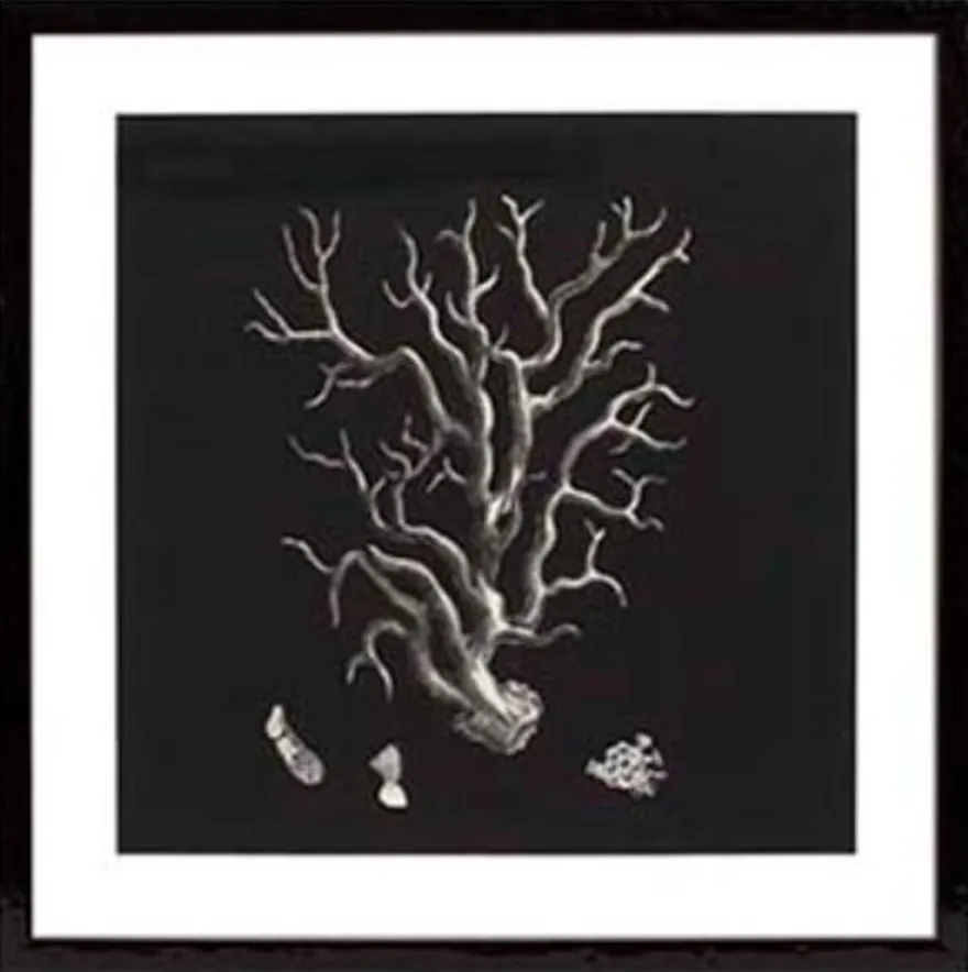 Casa Padrino Bilder / Kunstdruck 4er Set Korallen Schwarz 64 x H. 64 cm - Luxus Deko