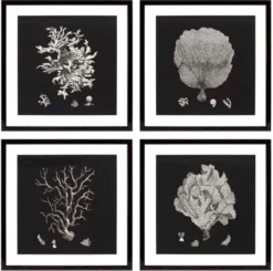 Casa Padrino Bilder / Kunstdruck 4er Set Korallen Schwarz 64 x H. 64 cm - Luxus Deko