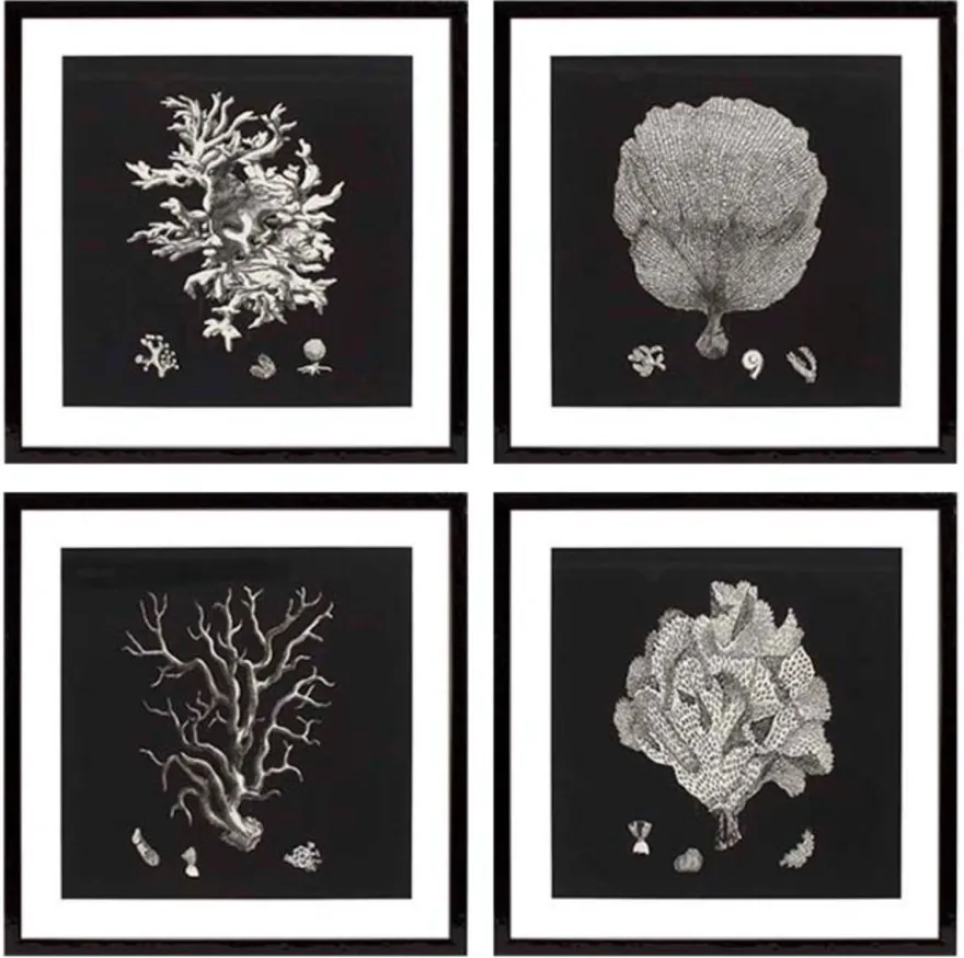 Casa Padrino Bilder / Kunstdruck 4er Set Korallen Schwarz 64 x H. 64 cm - Luxus Deko