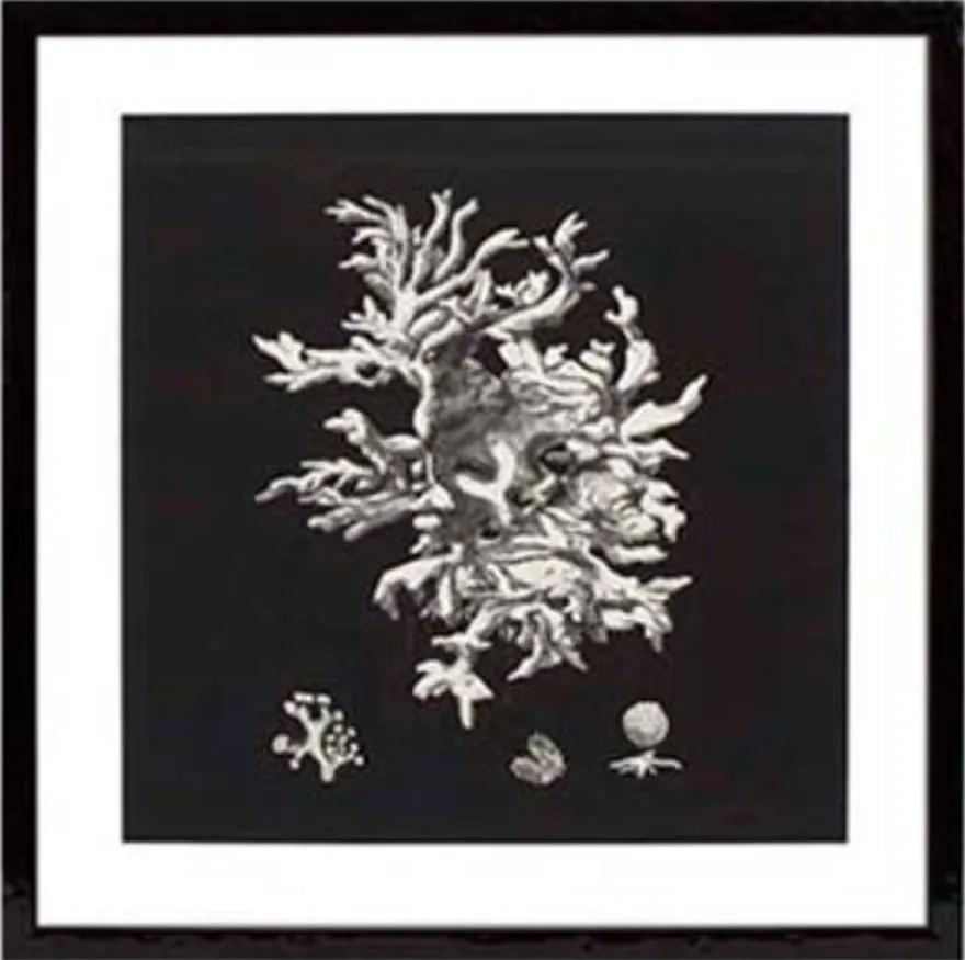 Casa Padrino Bilder / Kunstdruck 4er Set Korallen Schwarz 64 x H. 64 cm - Luxus Deko