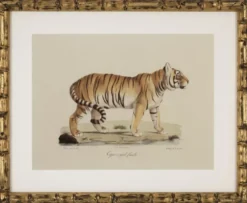 Casa Padrino Deko Bilder Set Löwen Tiger Jaguare Antik Gold 54 x H. 44 cm - Luxus Wanddekoration