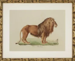 Casa Padrino Deko Bilder Set Löwen Tiger Jaguare Antik Gold 54 x H. 44 cm - Luxus Wanddekoration