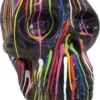 Casa Padrino Designer Deko Skulptur Totenkopf Schwarz / Mehrfarbig 44 x 58 x H. 66 cm - Wetterbeständige Dekofigur - Wohnzimmer Deko - Garten Deko