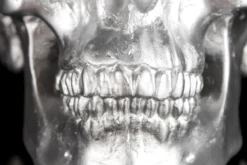 Casa Padrino Designer Spardose Skull silber, Totenkopf Skulptur aus Polyresin, Höhe 14 cm, Breite 14 cm, Tiefe 20 cm