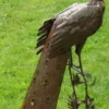 Casa Padrino Gartendeko Skulptur Pfau Rostfarben 50 x 75 x H. 118 cm - Elegante Gartendeko Figur - Wetterbeständige Gartenfigur