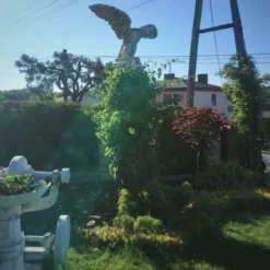 Casa Padrino Gartendeko Skulptur Adler Grau 180 x 70 x H. 92 cm - Große Garten Deko Stein Figur - Garten Stein Skulpturen - Garten Deko Accessoires