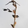 Casa Padrino Gartendeko Skulptur Hahn auf Ast Rostfarben 87 x 70 x H. 160 cm - Handgefertigte Gartenfigur - Garten Dekoration