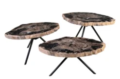 Casa Padrino Luxus Beistelltisch 3er Set Braun - Tische aus versteinertem Holz H. 25 / 33 / 40 cm - Luxus Möbel