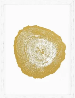 Casa Padrino Luxus Bilder Set Baumscheiben Jahresringe Weiß / Gold 61,5 x H. 82 cm - Kunstdrucke - Wandbilder - Wanddeko - Deko Accessoires
