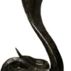Casa Padrino Luxus Bronzefigur Cobra Schlange Antik Bronzefarben 14 x 20 x H. 27 cm - Bronze Skulptur - Dekofigur - Deko Accessoires