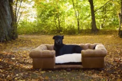 Casa Padrino Luxus Chesterfield Leder Hundebett Vintage Braun / Dunkelbraun / Weiß / Schwarz 134 x 104 x H. 37 cm - Rechteckiges Echtleder Hundebett - Luxus Chesterfield Leder Tiermöbel