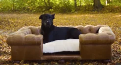 Casa Padrino Luxus Chesterfield Leder Hundebett Vintage Braun / Dunkelbraun / Weiß / Schwarz 134 x 104 x H. 37 cm - Rechteckiges Echtleder Hundebett - Luxus Chesterfield Leder Tiermöbel