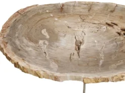Casa Padrino Luxus Couchtisch Naturfarben / Silber 115 x 68 x H. 35 cm - Edler Wohnzimmertisch mit versteinerter Holz Tischplatte und Edelstahl Beinen - Luxus Wohnzimmer Möbel