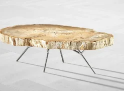 Casa Padrino Luxus Couchtisch Naturfarben / Silber 115 x 68 x H. 35 cm - Edler Wohnzimmertisch mit versteinerter Holz Tischplatte und Edelstahl Beinen - Luxus Wohnzimmer Möbel