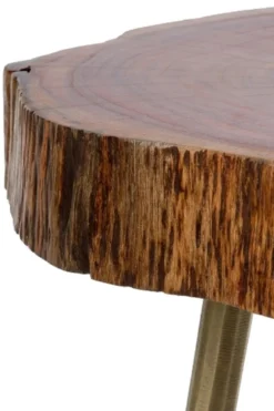 Casa Padrino Luxus Dreibein Beistelltisch Braun / Messingfarben 28 x 36 x H. 46 cm - Moderner Tisch im Baumscheiben Design und Messingfüllung