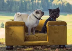 Casa Padrino Luxus Hundebett Ocker / Dunkelbraun / Ocker 95 x 75 x H. 37 cm - Modernes Rechteckiges Hundebett mit Kissen - Luxus Hundemöbel - Luxus Tiermöbel
