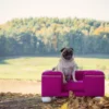 Casa Padrino Luxus Hundebett Lila / Weiß / Lila 65 x 55 x H. 31 cm - Modernes Rechteckiges Hundebett mit Kissen - Luxus Hundemöbel - Luxus Tiermöbel