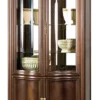 Casa Padrino Luxus Jugendstil Vitrinenschrank Dunkelbraun 96,5 x 52,5 x H. 206 cm - Wohnzimmerschrank mit 4 Türen - Wohnzimmermöbel