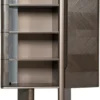 Casa Padrino Luxus Vitrine Dunkelbraun / Bronze 105,95 x 48,15 x H. 170 cm - Vitrinenschrank mit Tür - Hotel Möbel - Luxus Möbel - Luxus Kollektion