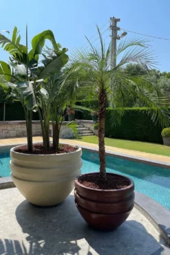 Casa Padrino Luxus XXL Garten Deko Beton Blumentopf Gelb Ø 120 x H. 90 cm
