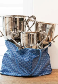 Casa Padrino Trophäe Silber 33 x 20 x H. 25 cm - Luxus Dekoration