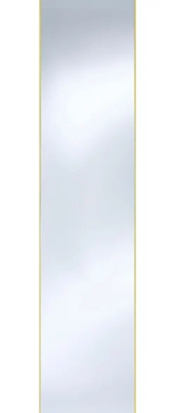 Casa Padrino Wandspiegel mit mattgoldem Aluminiumrahmen 40 x H. 175 cm - Luxus Spiegel